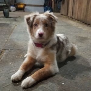 Meet your Posher, Jodi